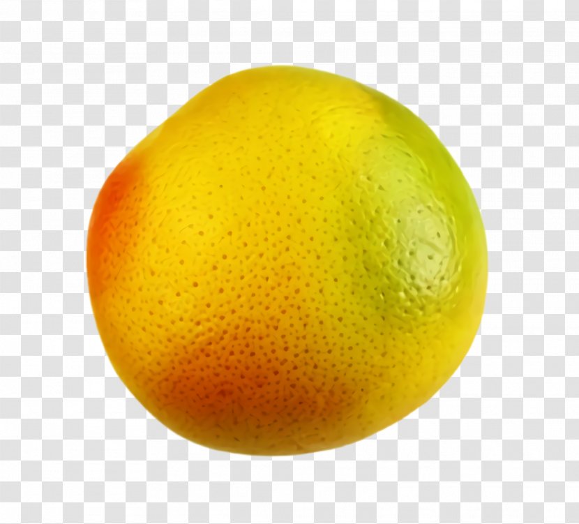 Orange - Lemon - Food Plant Transparent PNG