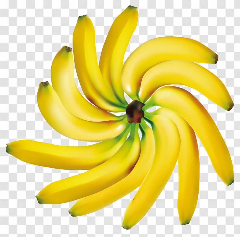 Banana Fruit Clip Art - Apple Transparent PNG