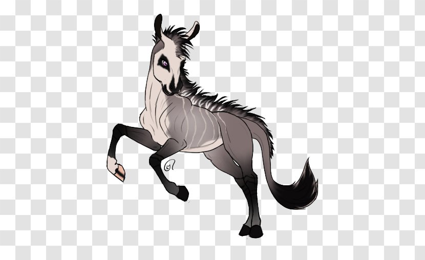 Mule Mustang Stallion Colt Halter - Bridle Transparent PNG