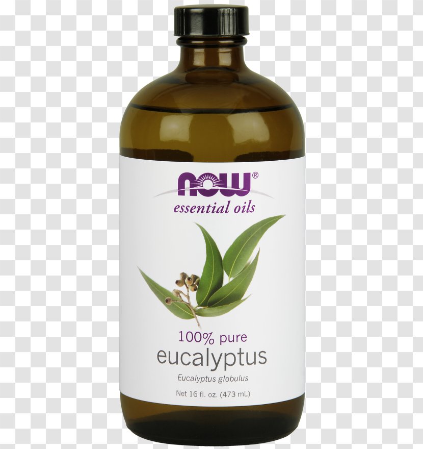 Eucalyptus Oil Tasmanian Blue Gum Dietary Supplement Ounce Transparent PNG