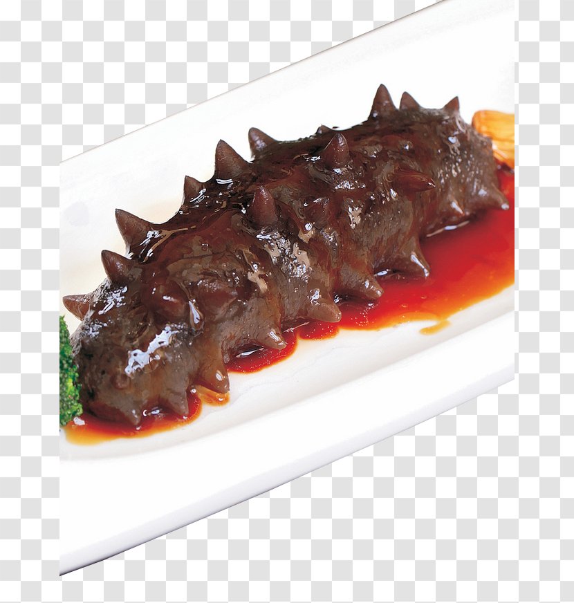 Sea Cucumber As Food Seafood - Meat Transparent PNG