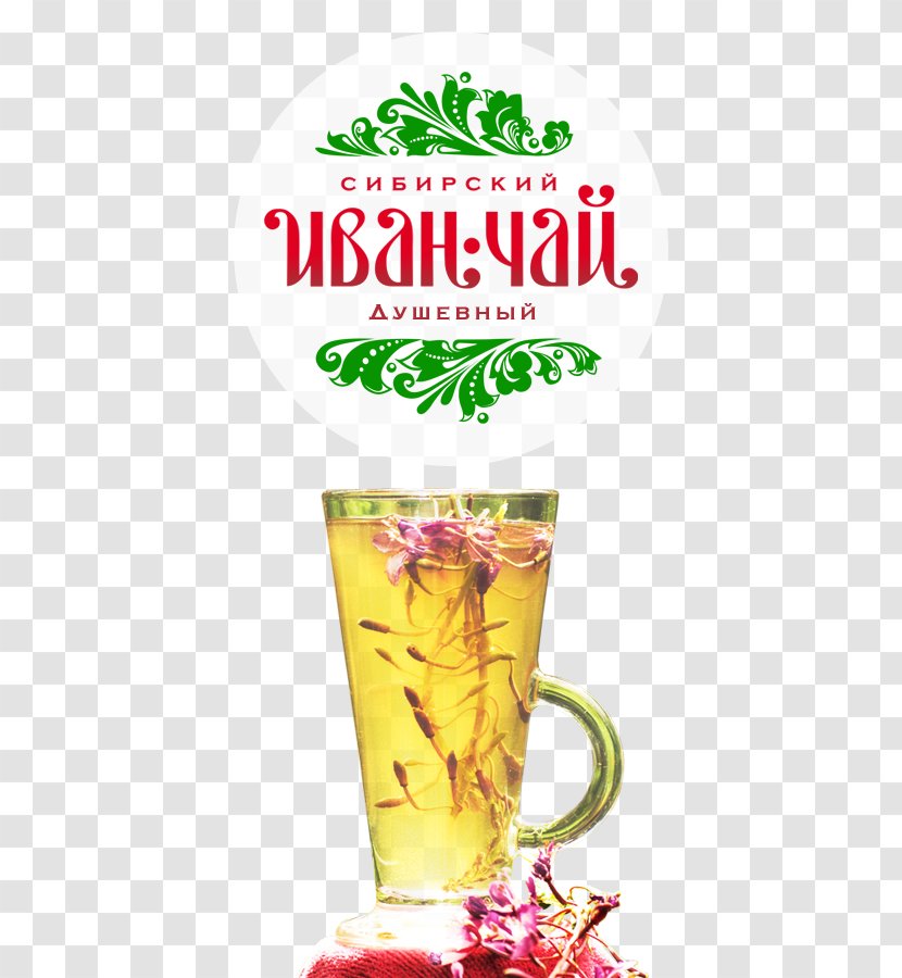 Green Tea Oolong Drink Pu'er - Health - Ivan Transparent PNG