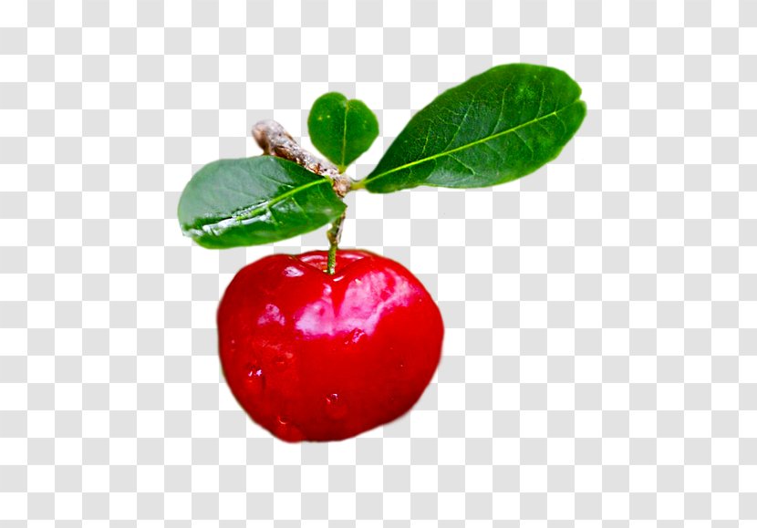 Barbados Cherry Ingredient Lingonberry Diabetes Mellitus - Berry - Papaya Juice Transparent PNG