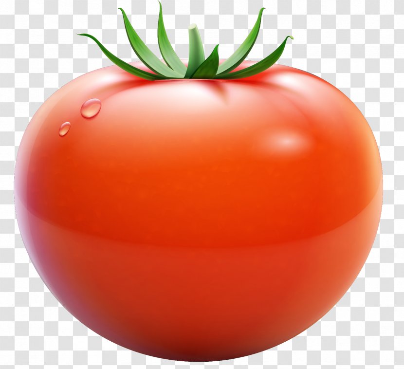 Tomato Vegetable - Bush - Berries Transparent PNG