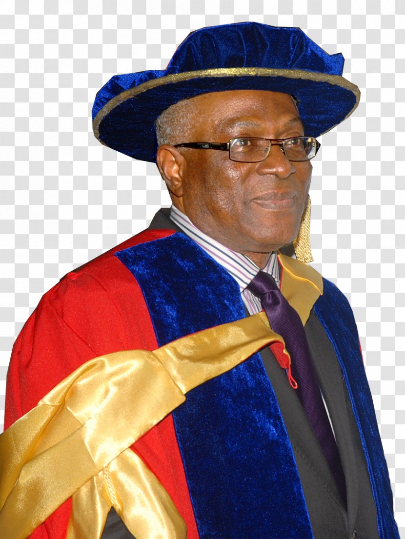 Chairman Nosak Group Hat Doctor Of Philosophy Salute - Academician - Borno State Transparent PNG