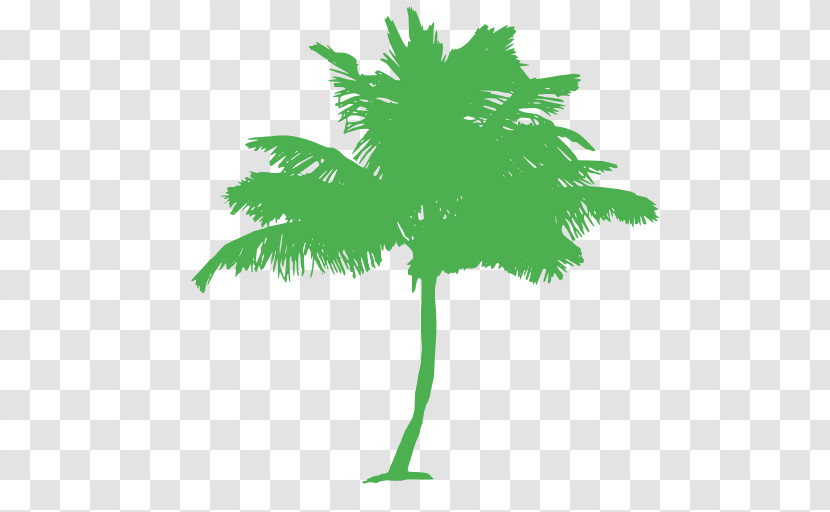 Palm Tree Transparent PNG