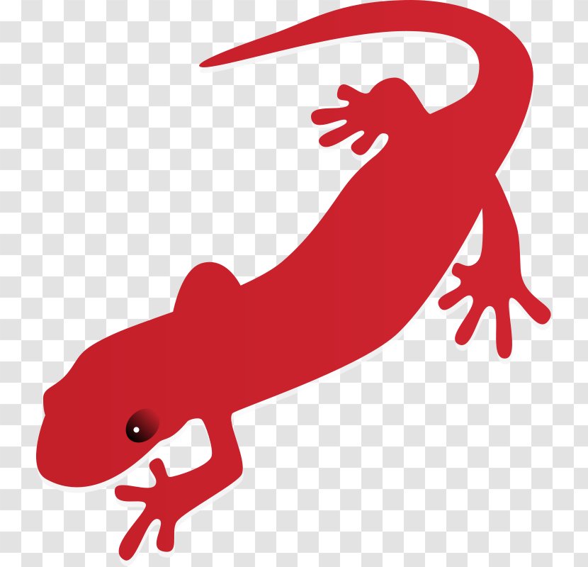 Fire Salamander Newt Free Content Clip Art - Computer - Tiger Clipart Transparent PNG