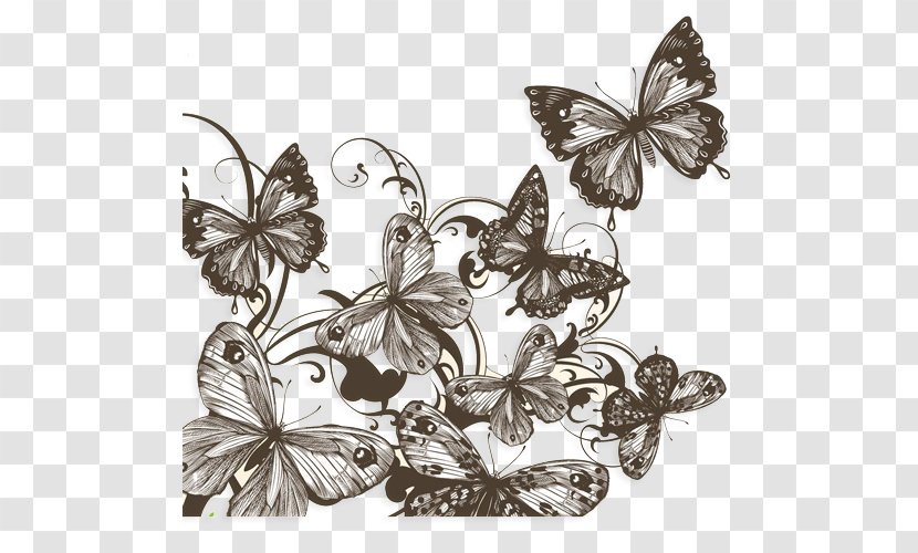 Butterfly Drawing Photography Shutterstock - Pollinator - Sketch Transparent PNG