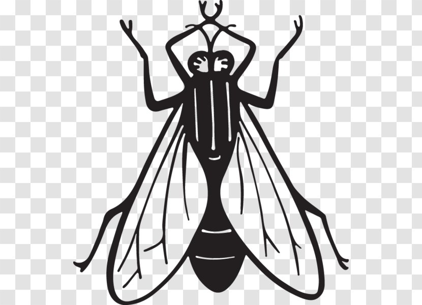 Insect Clip Art Fly Image Drawing Transparent PNG