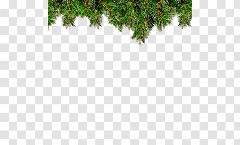 Christmas Ornament Decoration Tree - Twig - Creative Transparent PNG