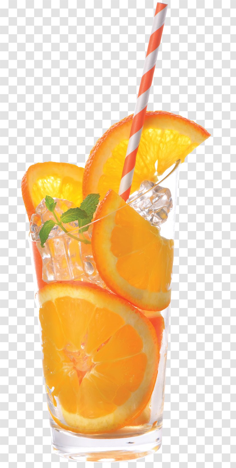 Orange Juice Cocktail Garnish Drink Mai Tai - Watercolor Transparent PNG