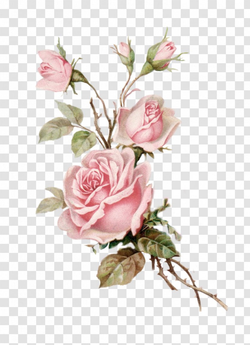 Flower Bouquet Garden Roses Floral Design - Rose - Postcard Transparent PNG