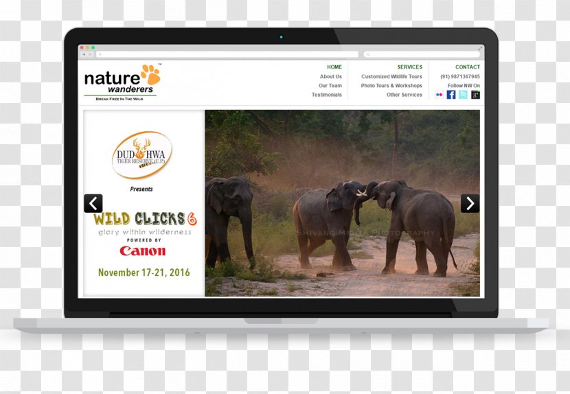 Multimedia Mammal Technology Video Brand Transparent PNG