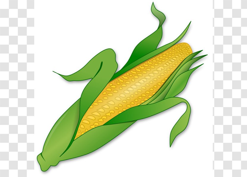 Corn On The Cob Candy Maize Sweet Clip Art - Vegetable - Okra Cliparts Transparent PNG