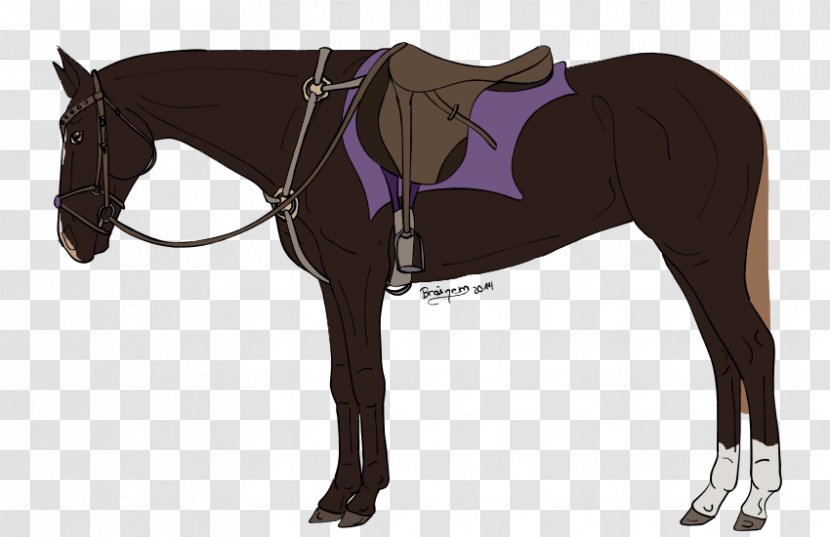 Horse Mane Foal Stallion Rein - Bridle - Show Jumping Transparent PNG
