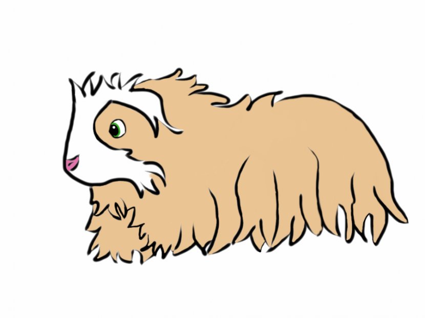Guinea Pig Cat Cartoon Domestic Clip Art - Stencil - Pictures Transparent PNG