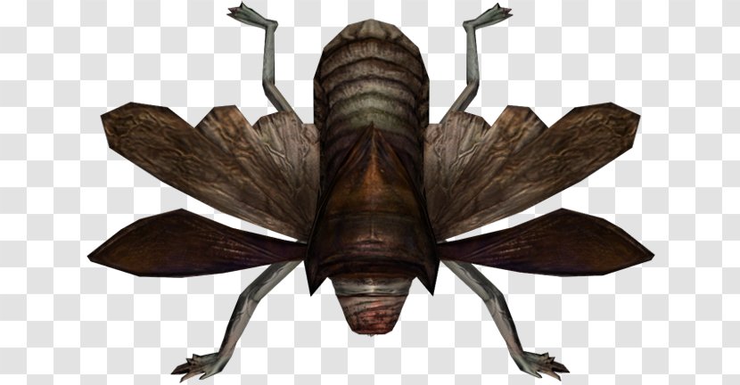 Silent Hill: Book Of Memories Homecoming Wiki Image - Hill - Smog Transparent PNG