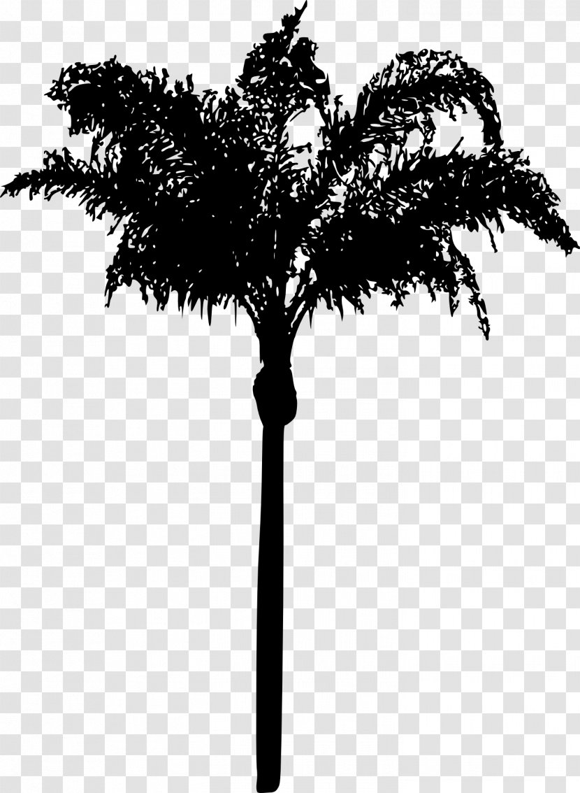 Asian Palmyra Palm Date Leaf Trees Twig - Plants - Borassus Transparent PNG