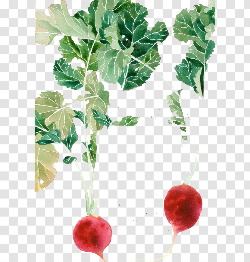 Watercolor Painting Visual Arts Sketch - Work Of Art - Hand-painted Carrot Transparent PNG