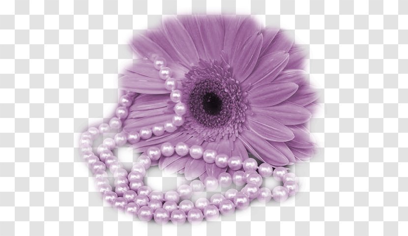Flower Clip Art - Purple - Chart Transparent PNG