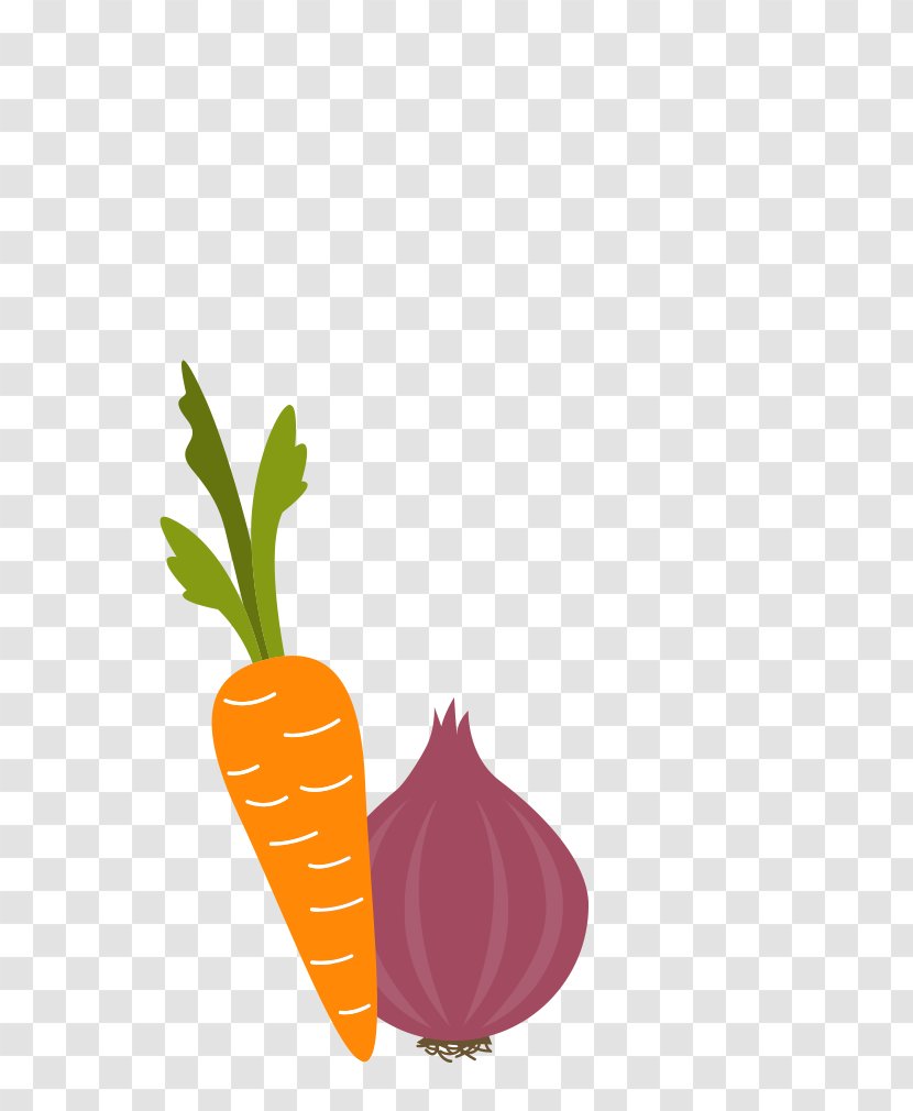Carrot Vegetable Drawing Onion Cartoon - Food - Vegetables Transparent PNG