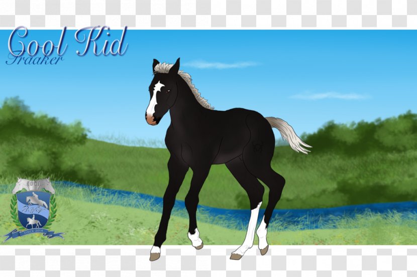 Stallion Foal Mustang Mare Colt Transparent PNG