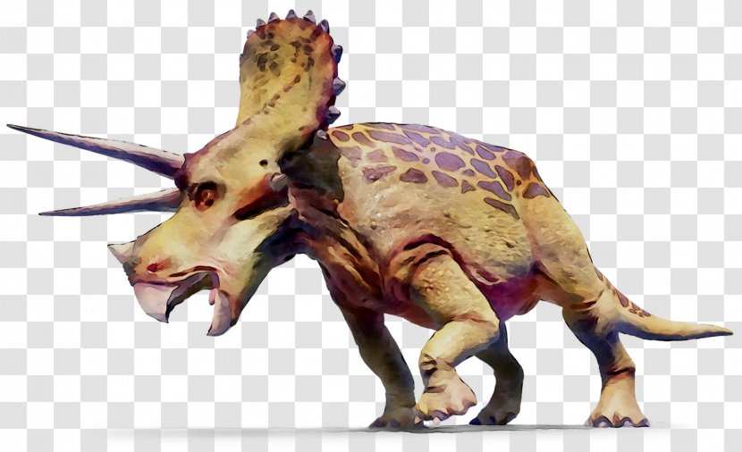 Triceratops Dinosaur GIF Tyrannosaurus Geography Clipart - School Website Transparent PNG