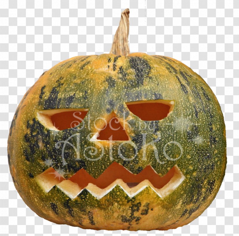 Jack-o-lantern Field Pumpkin Halloween Calabaza Transparent PNG