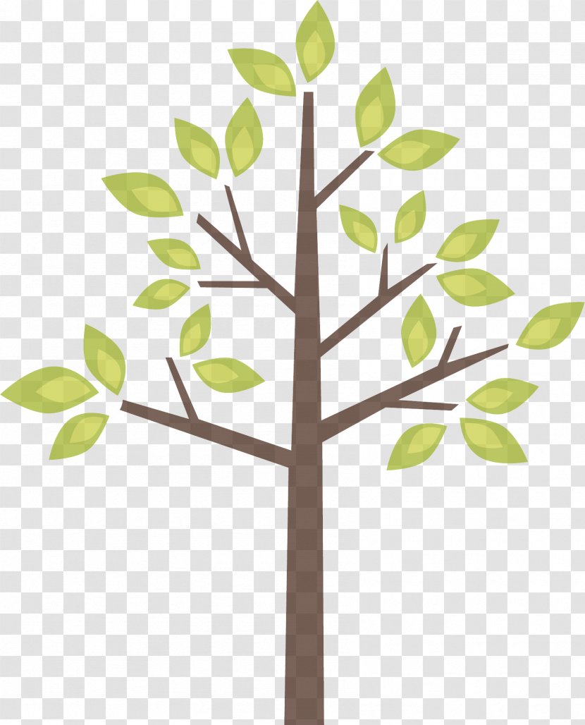 Leaf Tree Branch Plant Stem - Flower Woody Transparent PNG