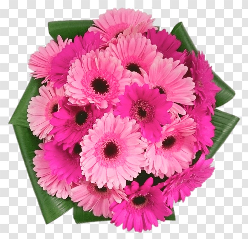 Transvaal Daisy Cut Flowers Flower Bouquet Floral Design - Arranging Transparent PNG