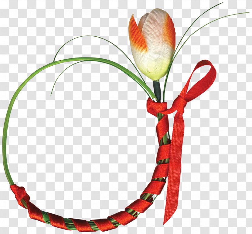 Flower - Petal - Decorative Flowers Ring Transparent PNG