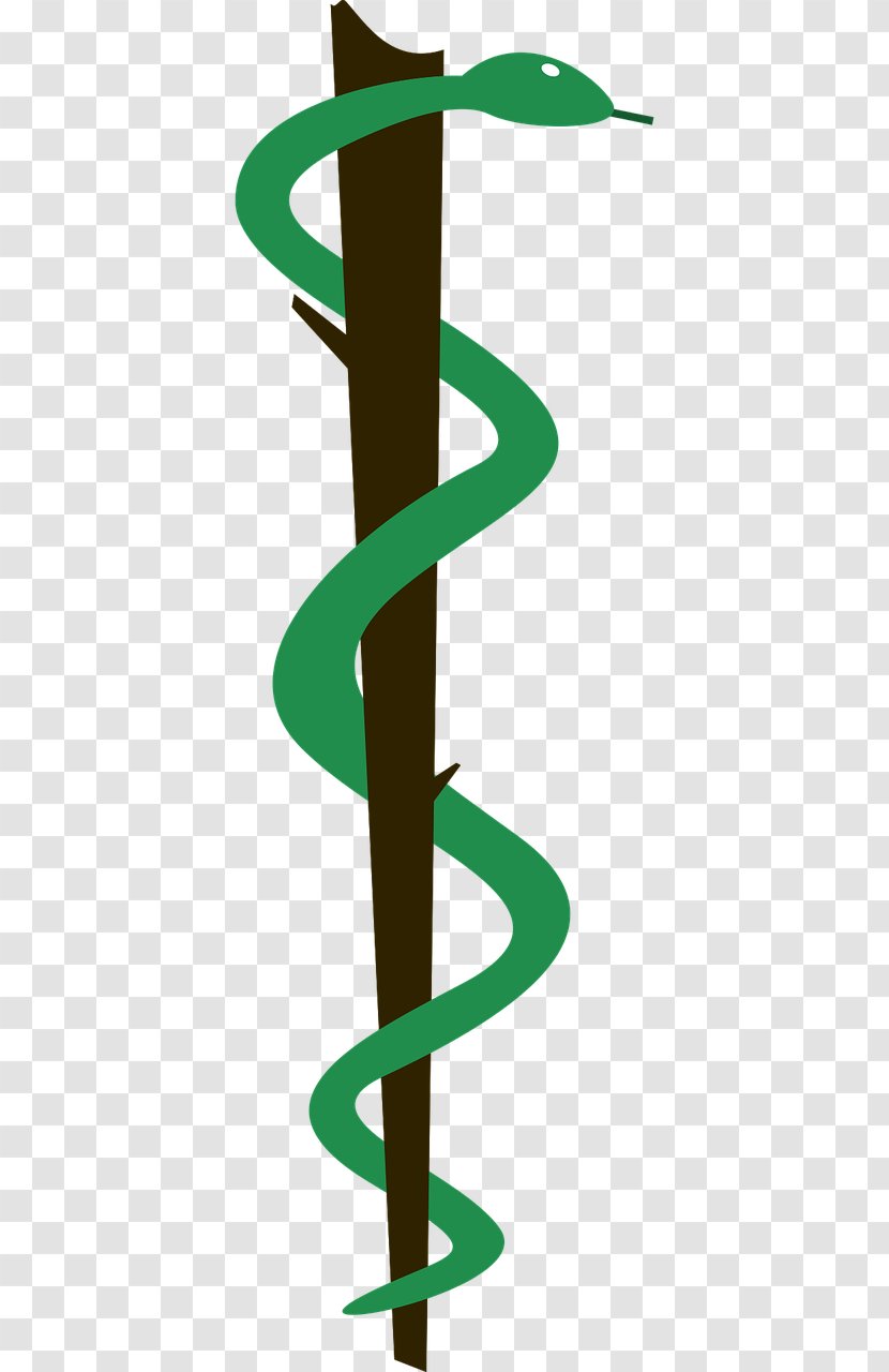 Lithuanian University Of Health Sciences Medicine Symbol - Pediatrics - Green Snake Transparent PNG