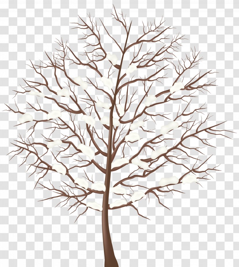 Tree Winter Branch Clip Art - Flower - Swan Cliparts Transparent PNG