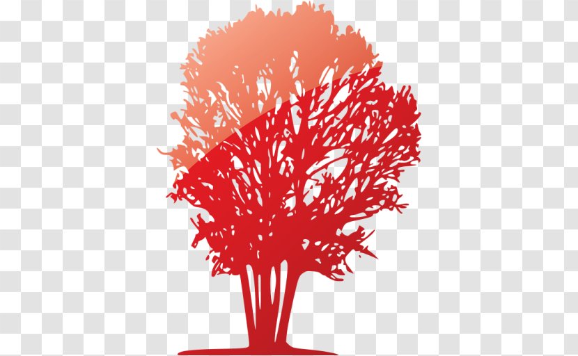 Yosemite National Park Illustrator Graphic Design Information - Poetry - Red Tree Transparent PNG