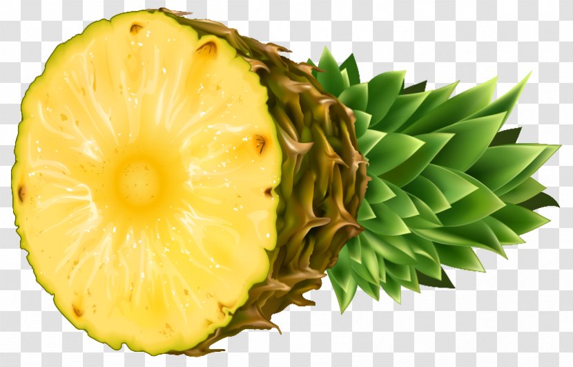 Pineapple Coconut Tropical Fruit - Ingredient - Clipart Image Transparent PNG
