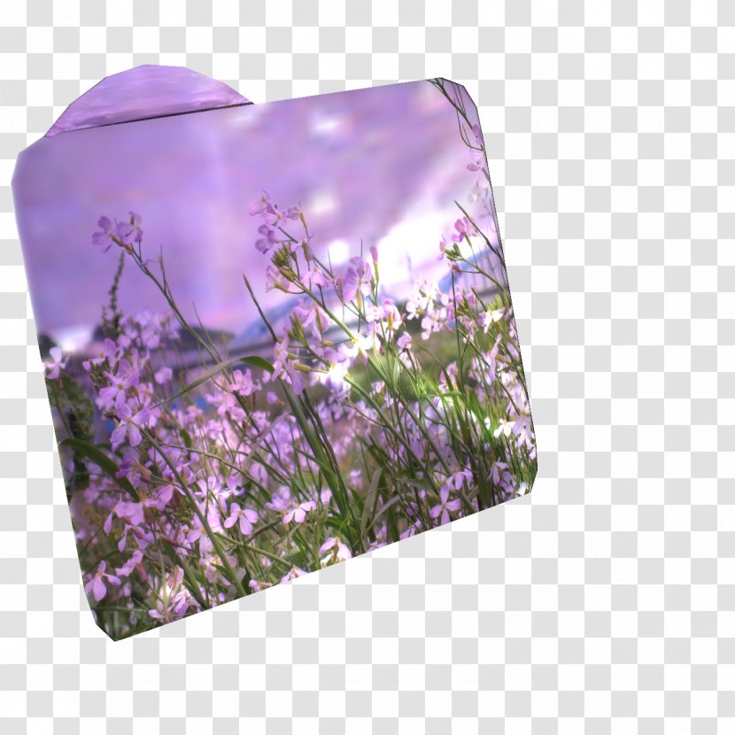 Lavender Lilac Violet Purple Flower - Early Summer Transparent PNG