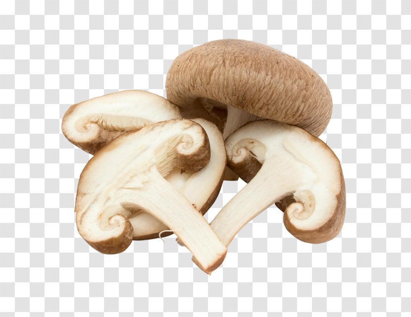 Common Mushroom Edible Fungus Vegetable - Medicinal Transparent PNG