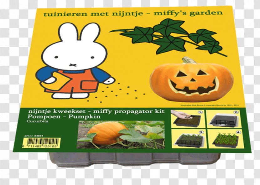 Pumpkin Calabaza Scorpion Grasses .nl Plant - Food Transparent PNG