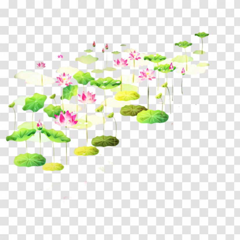 Floral Design Desktop Wallpaper Water Product - Lily - Flower Transparent PNG