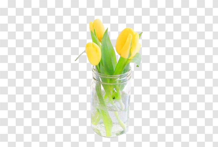 Tulip Flower Floral Design - Plant - Yellow Arrangement Transparent PNG