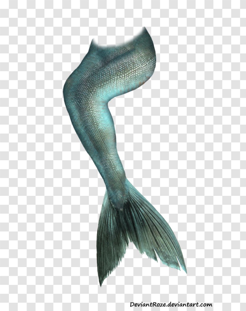 Mermaid Tail Clip Art - Deviantart - Marine Fish Transparent PNG