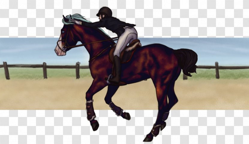 Hunt Seat Stallion Dressage Horse Rein - Western Riding - Olympics Decorative Shading Transparent PNG