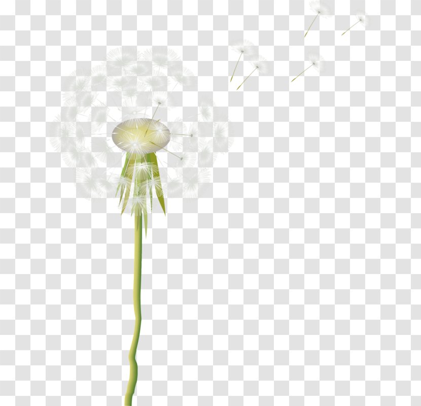 Petal Green Pattern - Flower - Dandelion Transparent PNG
