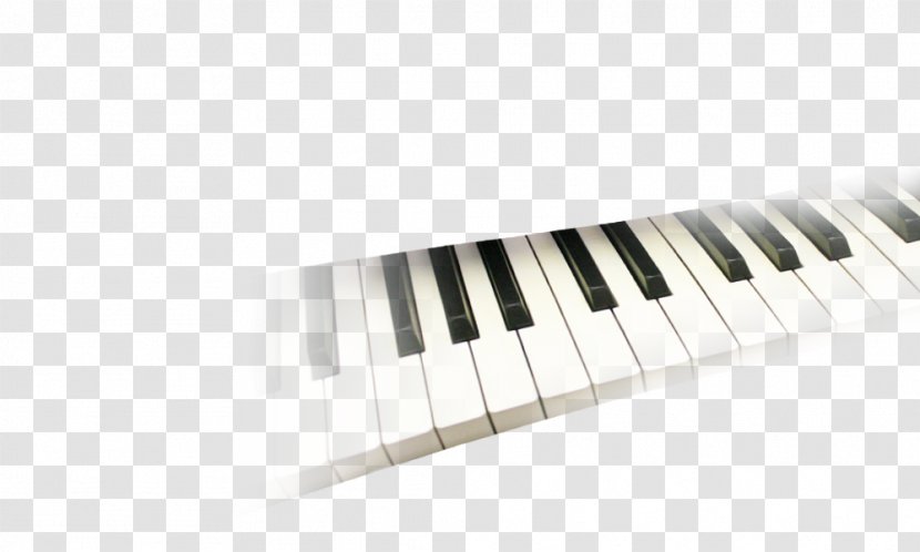 Electronic Musical Instruments Keyboard Digital Piano Electric - Tree - Title Background Transparent PNG