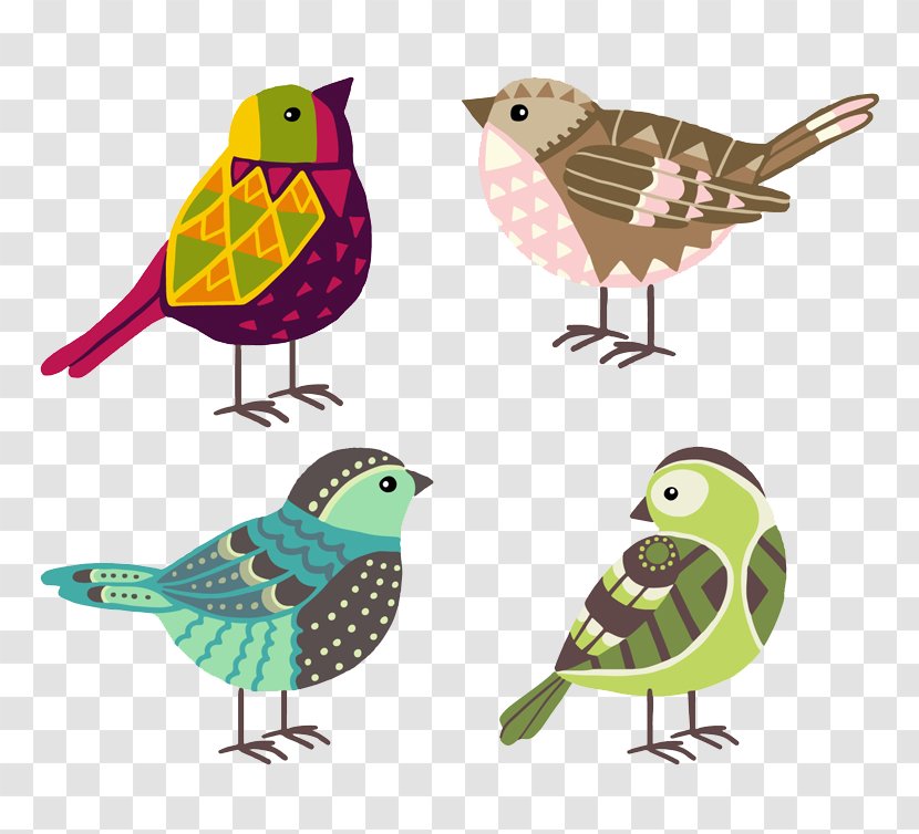 Bird Vector - Product - Illustration Transparent PNG