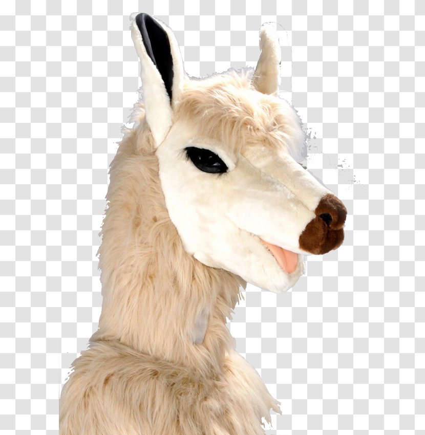 Llama Alpaca Costume Mascot Goat - Camel Like Mammal Transparent PNG