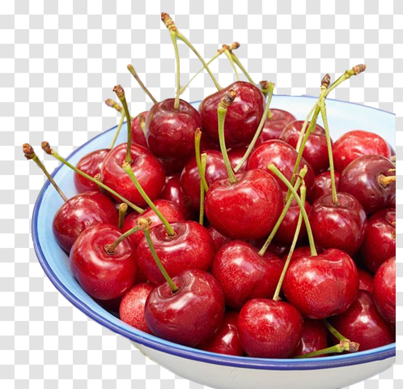Cherry Fruit - Red Transparent PNG