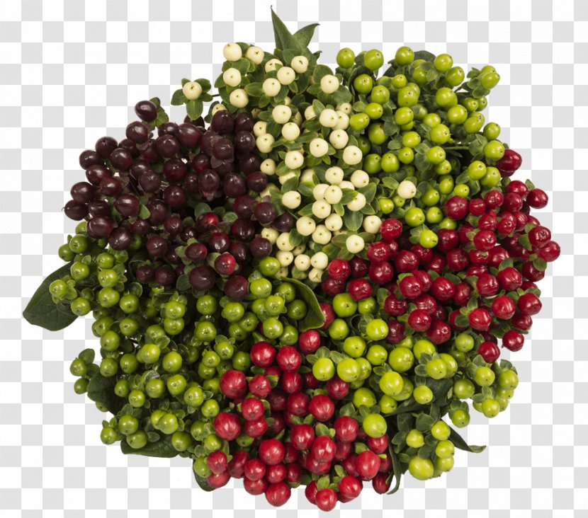 Cranberry Vegetarian Cuisine Natural Foods Vegetable - Local Food - Hypericum Berries Transparent PNG