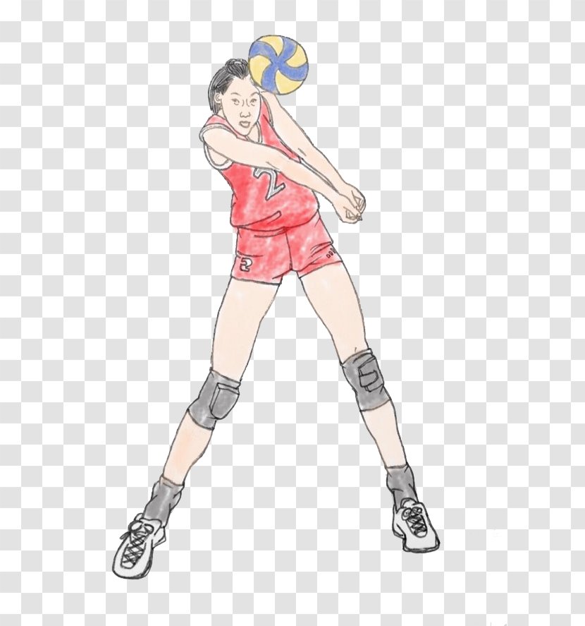 Volleyball Cartoon Gratis - Flower - Women's Picture Transparent PNG