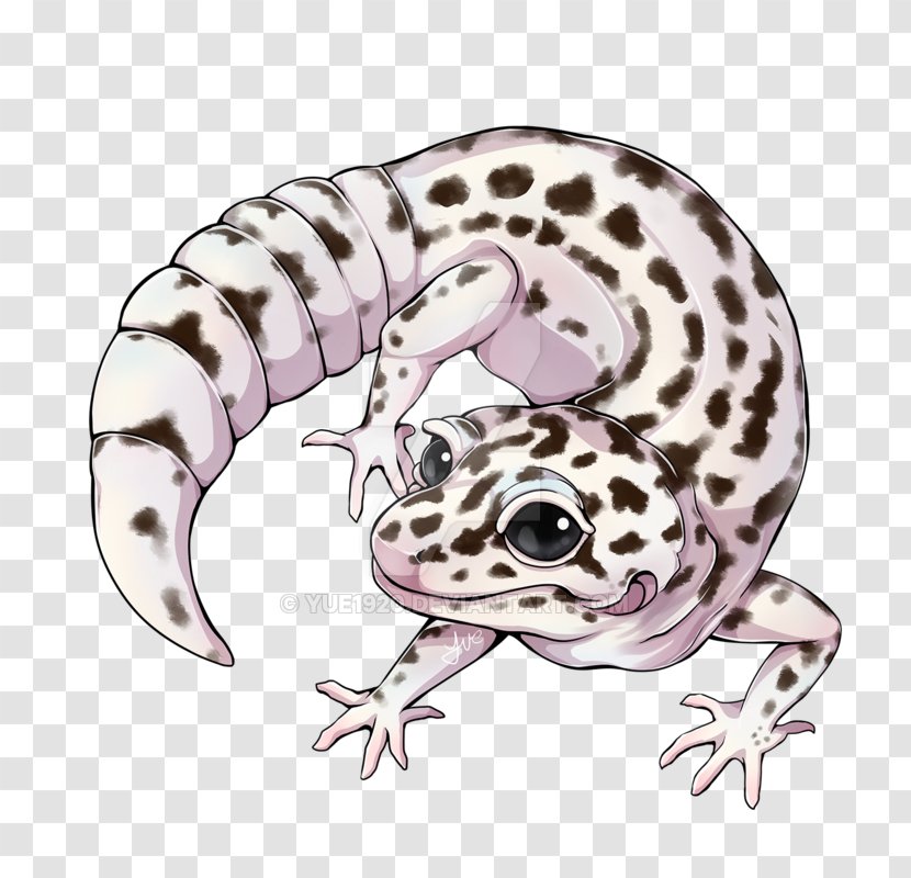 Crested Gecko Reptile Art Frog - Leopard Transparent PNG
